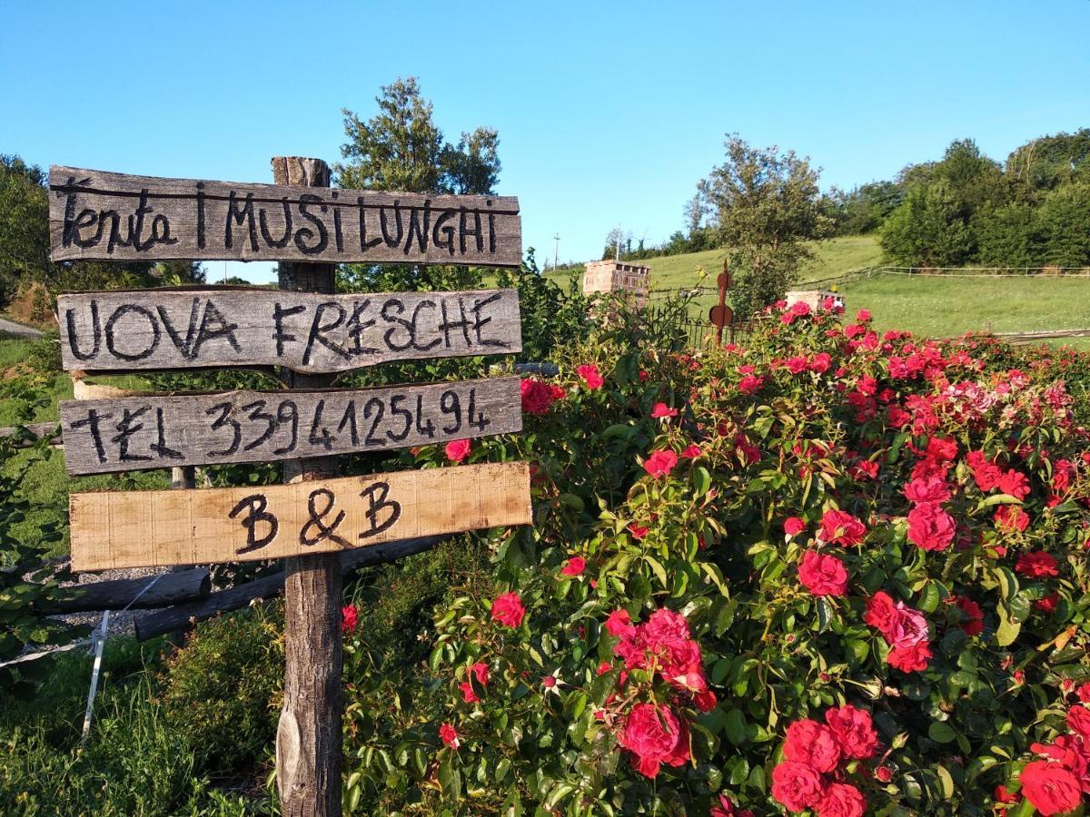 Tenuta I Musi Lunghi Lesignano de' Bagni Exterior photo